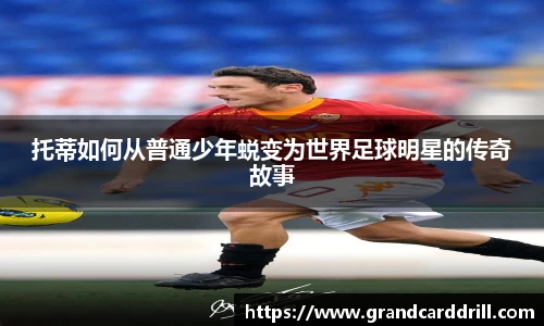 365WM完美体育官网