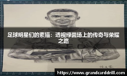 365WM完美体育官方app