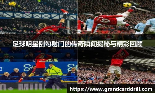 365WM完美体育官方网站